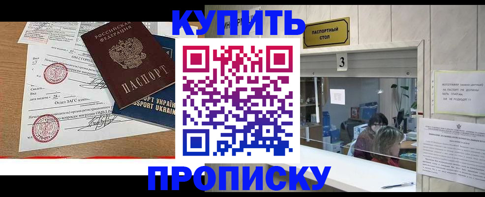 временная регистрация надежно в Мурманской области